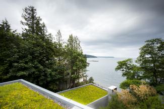 Extensive green roofs